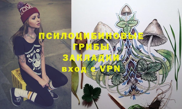 меф Медногорск