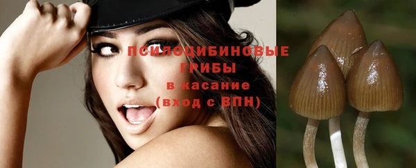 меф Медногорск